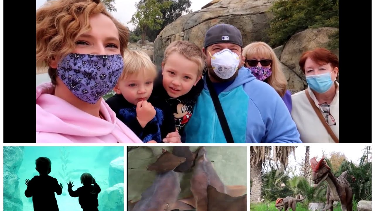Fresno Zoo: Sting Rays, Dinos, and Masks