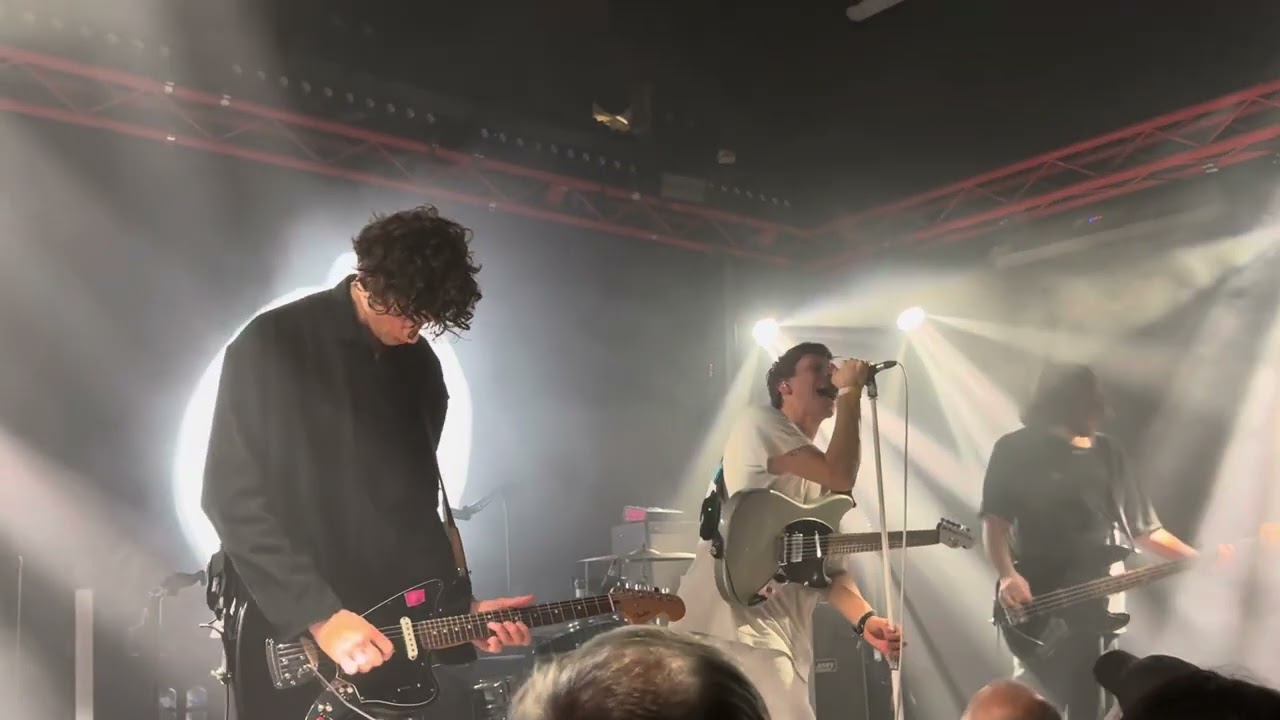 October Drift - Insects live at Gorilla