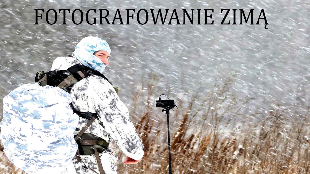 JAK FOTOGRAFUJE ZIMĄ // KARMIENIE ZIMĄ // LUBIĘ GO FOTOGRAFOWAĆ //JAKI TO PTAK?