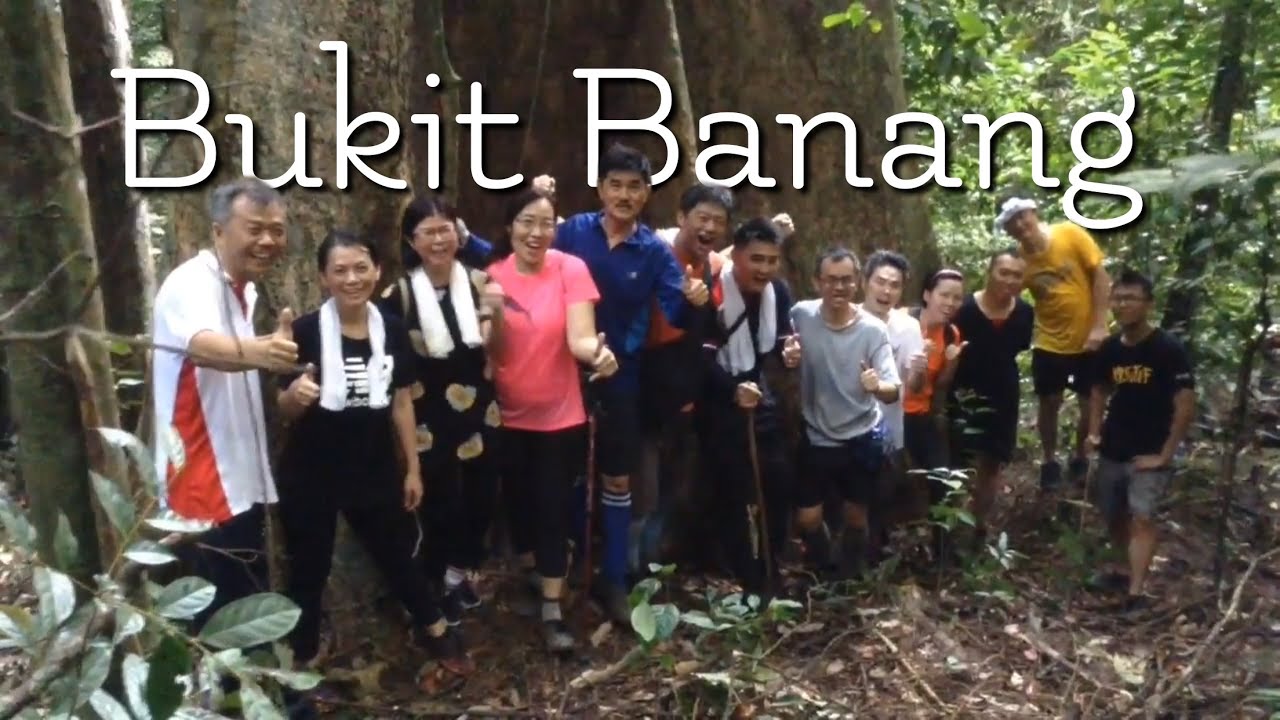Batu Pahat Jungle Trekking - Bukit Banang 12 Persons Surrounding Towering Tree Challenge 森林浴