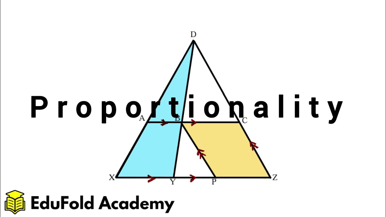 Proportionality Theorem || Example 1