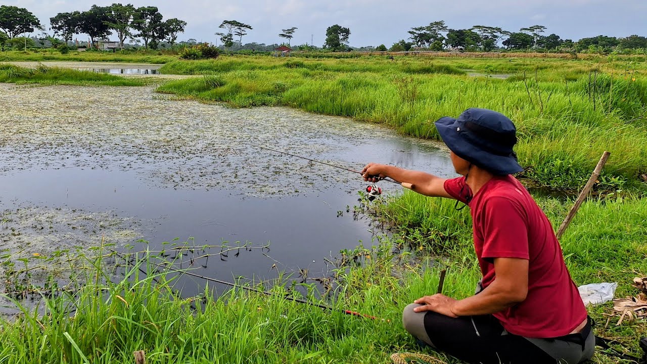 Live Mancing di Rawa