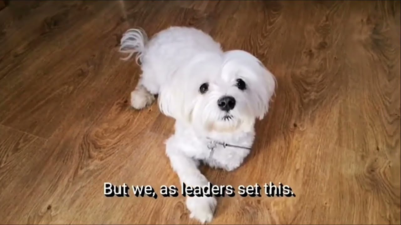 Posesiv la mâncare? Uite o idee... o soluție!