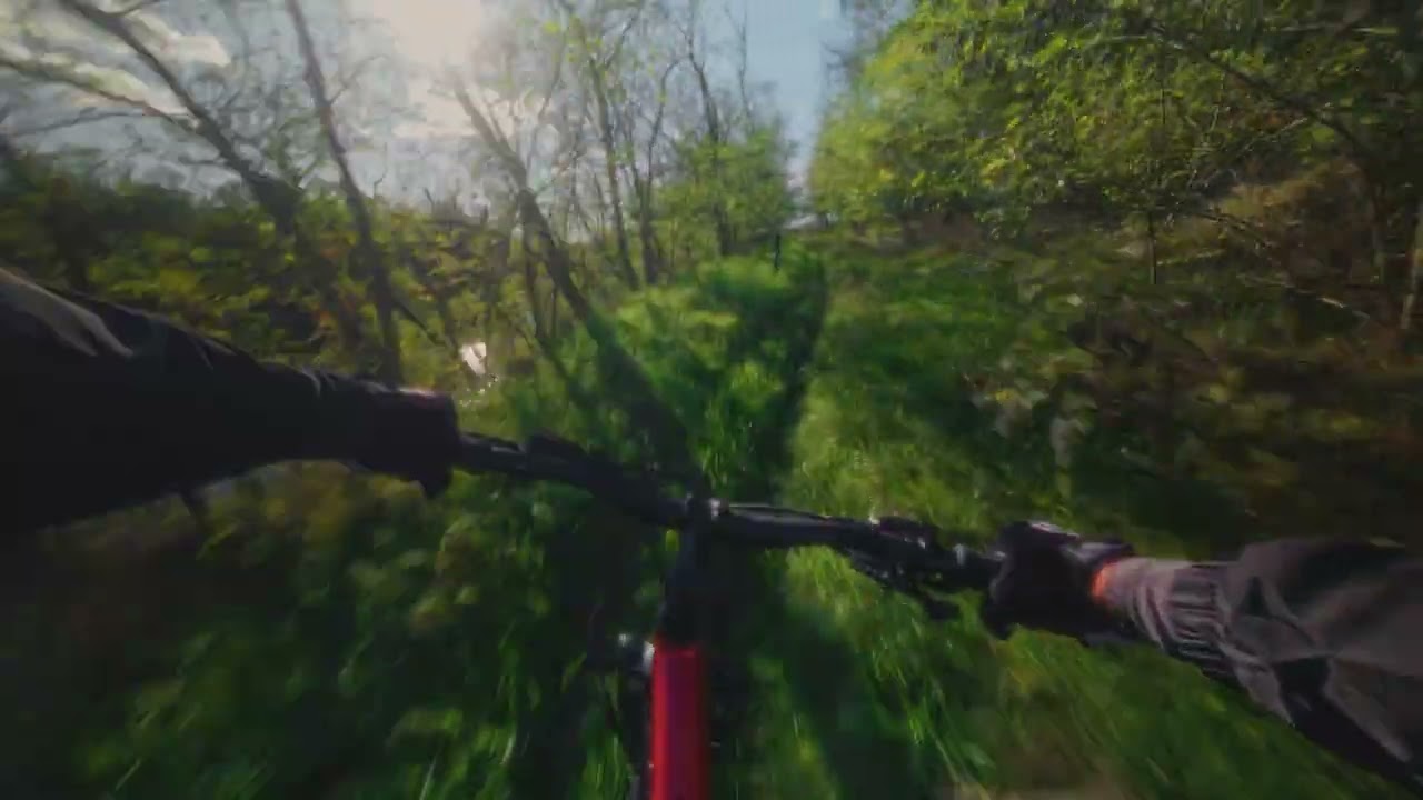 I Followed a Random Path&hellip; This Happened