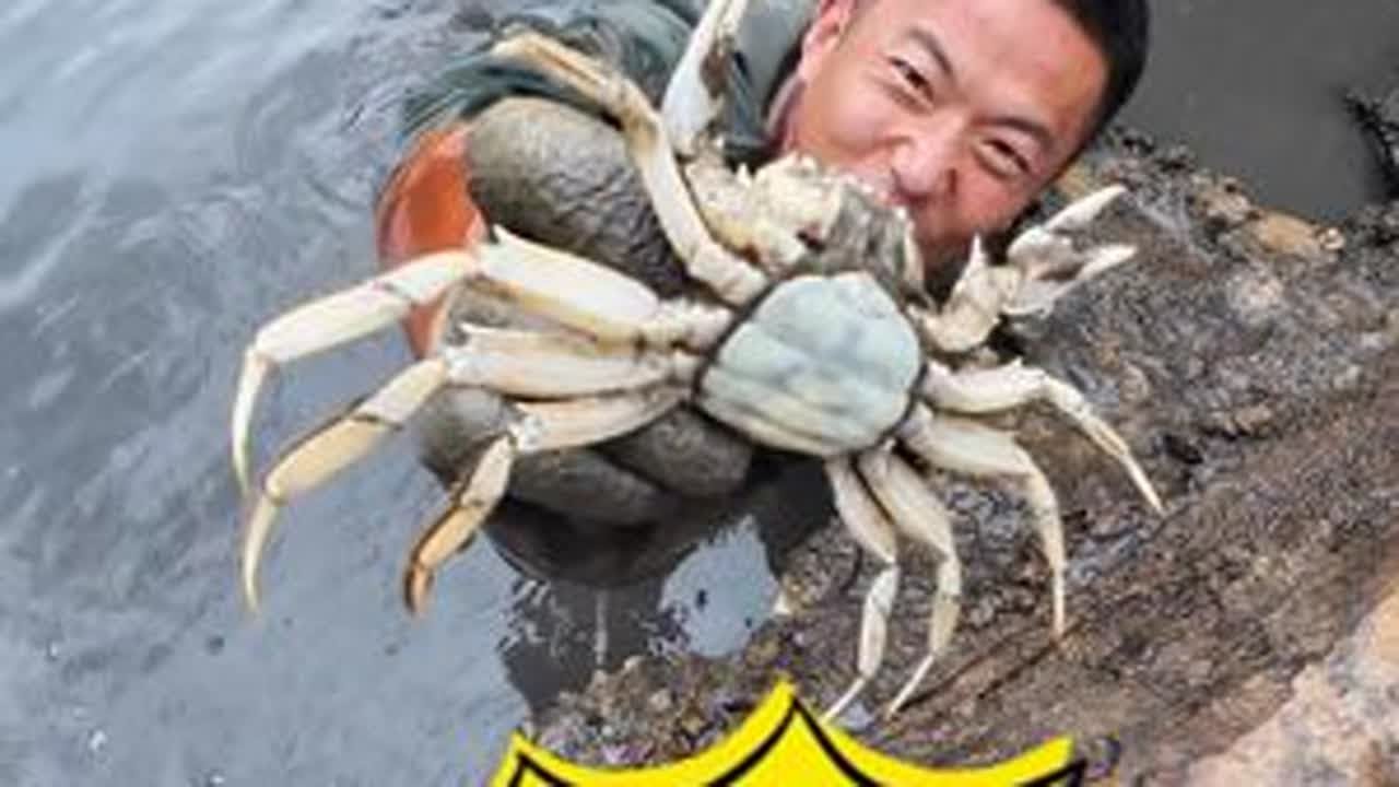 逮鱼路上偶遇一水坑，看到毛蟹在里面爬。第一次逮着白色的毛蟹，啥情况啊？你们见过吗#我的乡村生活 #真实户外 #逮鱼摸虾