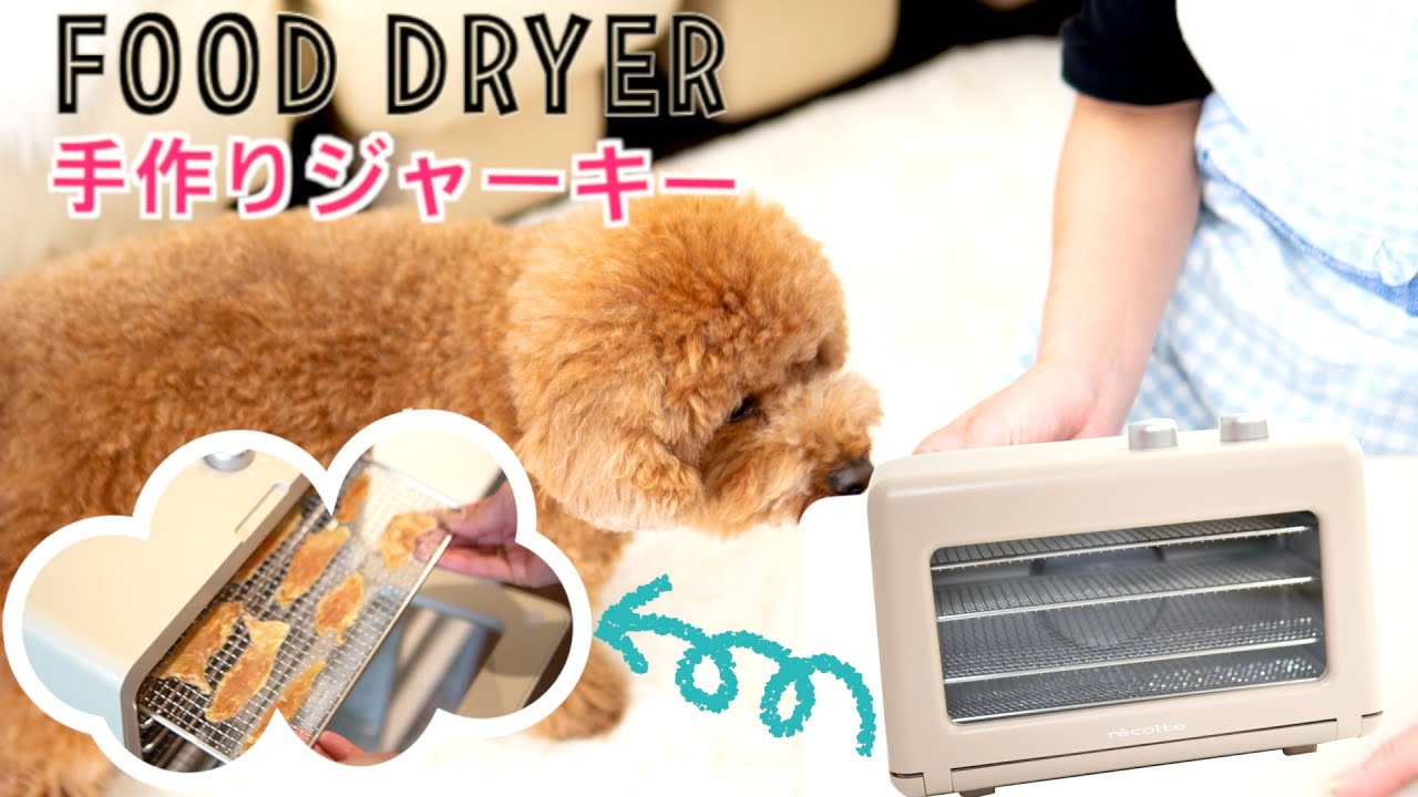 フードドライヤーで犬の手作りおやつ 「ささみジャーキー」作ってみた！【トイプードルのHappy】