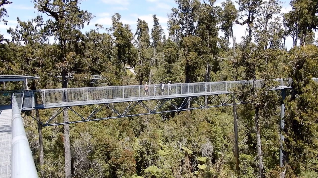 Treetop Walk, West Coast, South Island, New Zealand