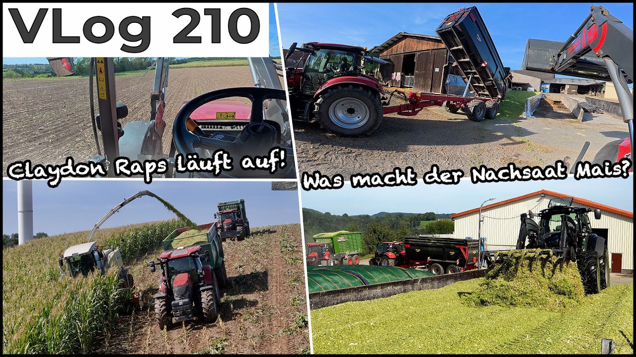 FarmVLOG#210: Plötzlich ist der Häcksler da? Wir häckseln unseren Mais! & Schneckenkorn im Raps