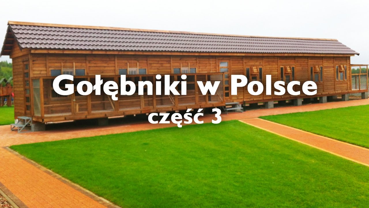 Gołębniki w Polsce - część 3