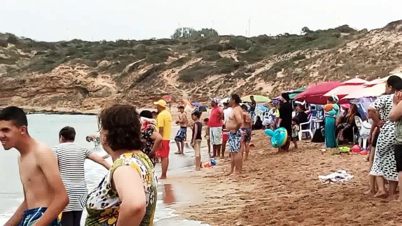 ظهور دلفين في مستغانم_شاطئ_سيدي_منصور