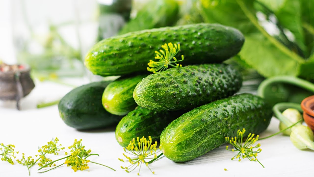 How to Grow Pickling Cucumbers - Grow Cucumbers & Make Your Own Delicious Pickles