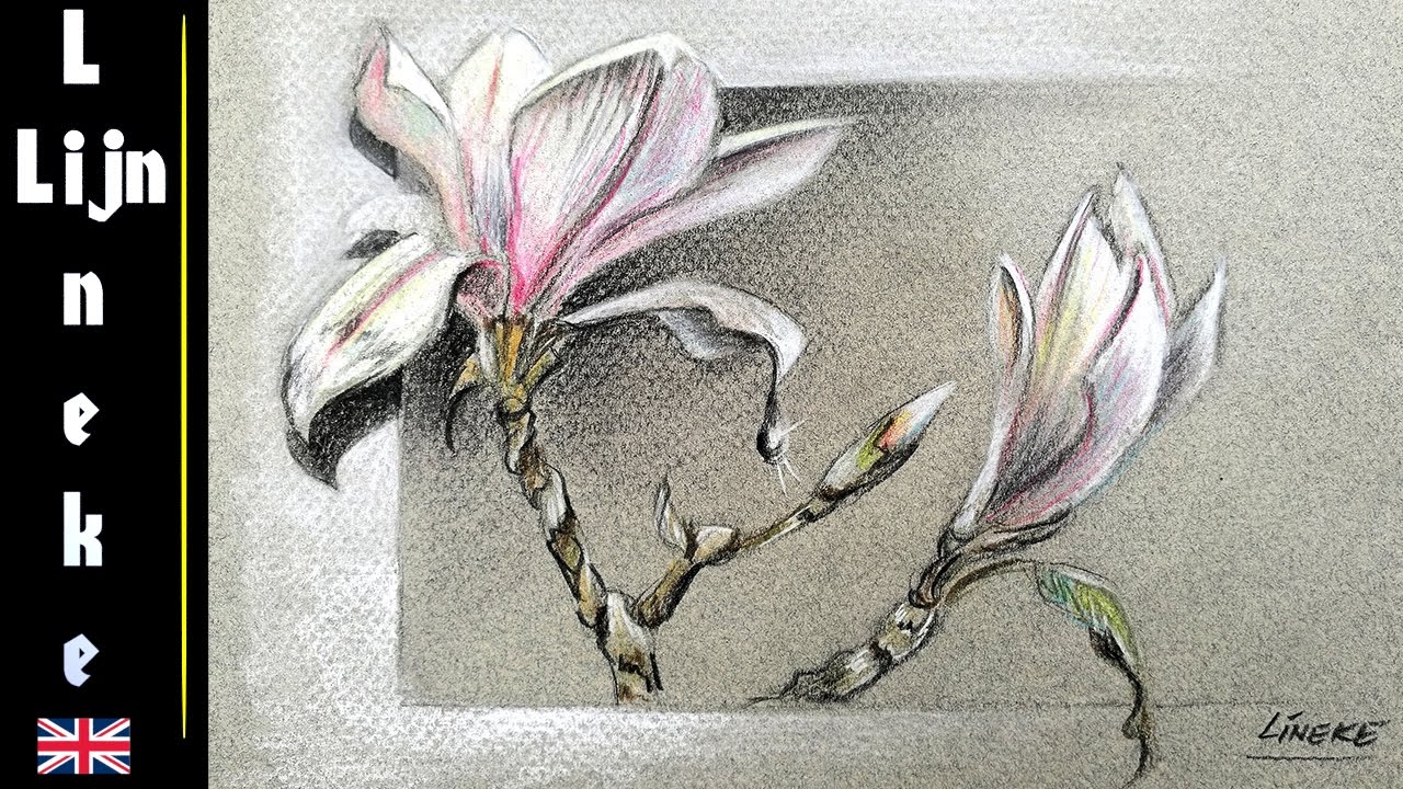 Easy MAGNOLIA blossom for beginners pencil drawing