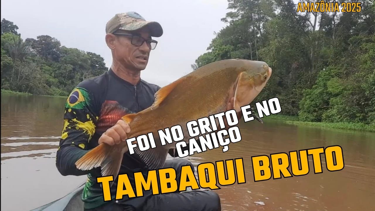 FOI NO GRITO E NO CANIÇO TAMBAQUI BRUTO