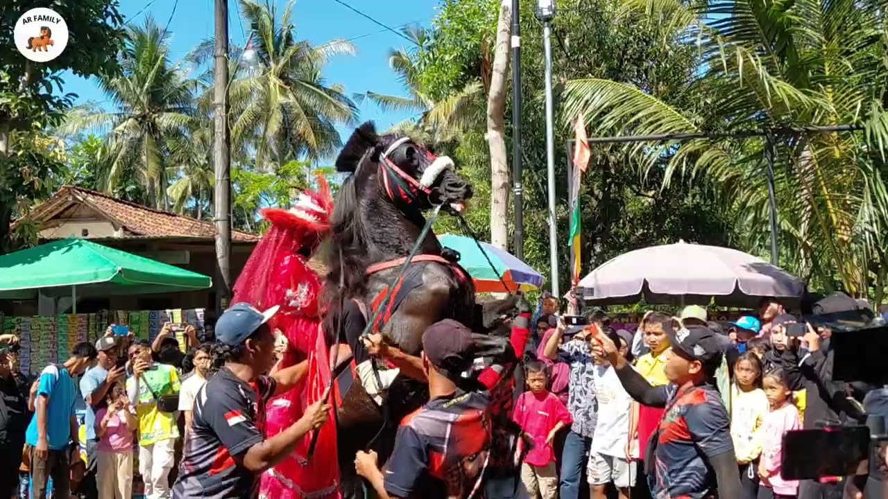 KUDA JINGKRAK PURWOREJO