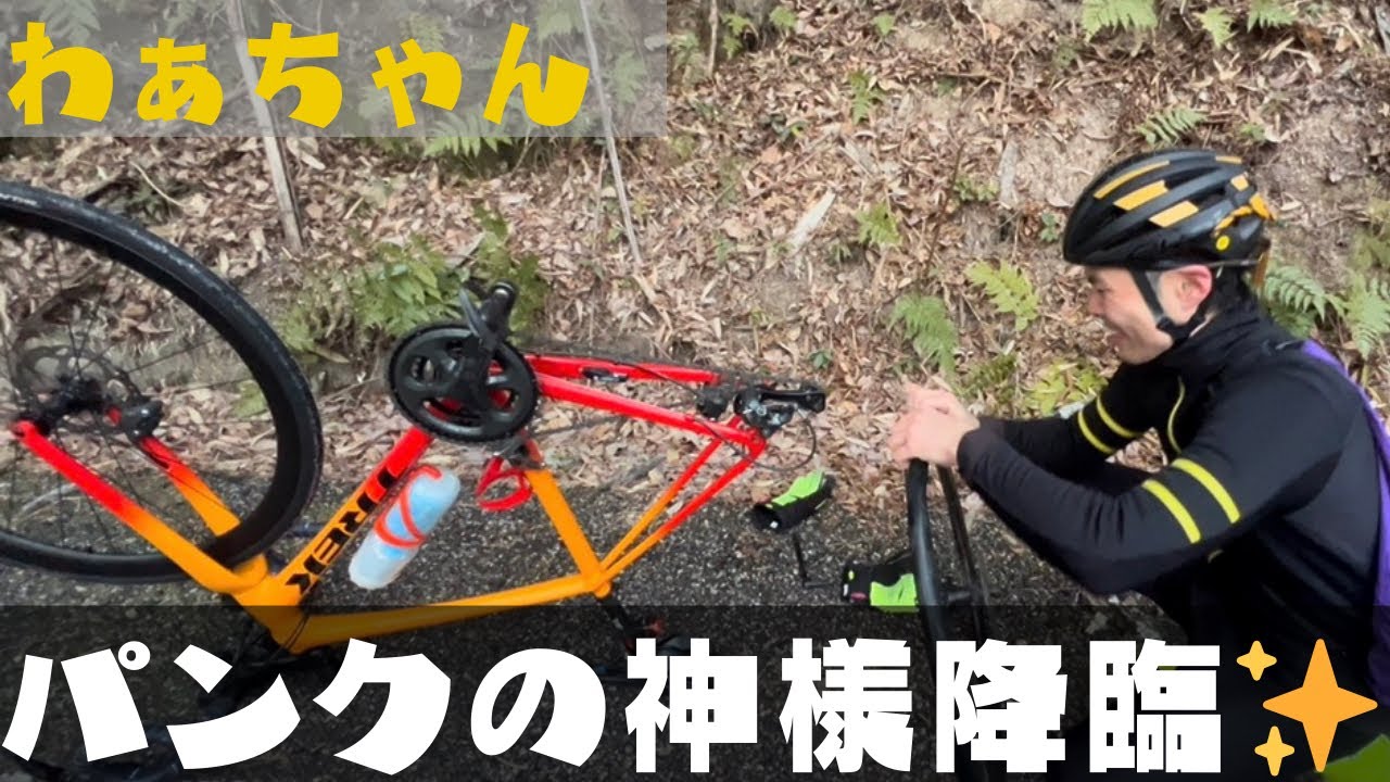 急に訪れるパンクの神様　わぁちゃんに降臨したがどの様なパンクをしたのかな？？