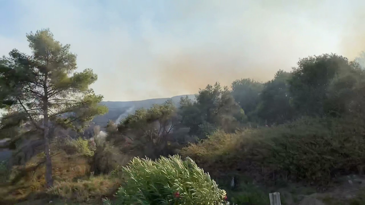 Forest fire Zakynthos - Argasi 2021
