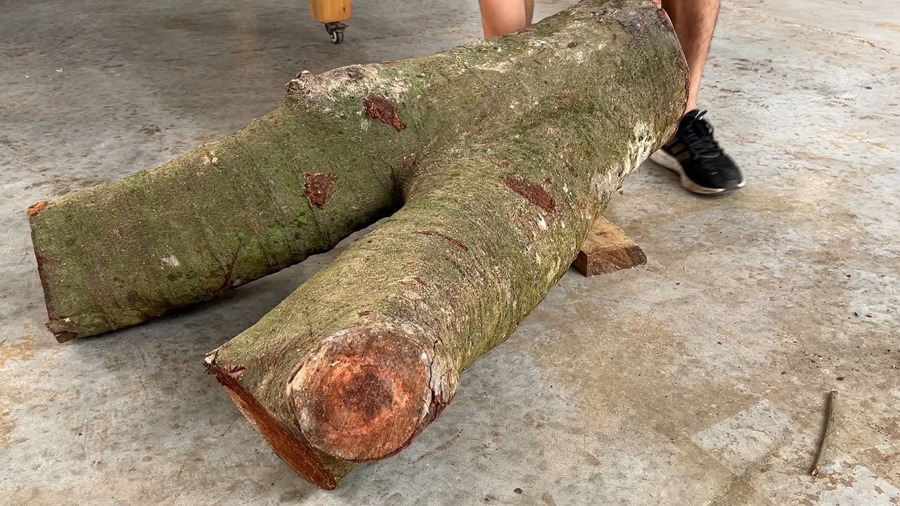 Maximizing the Potential of a Big Tree: Making a Striking Bench for Your Garden or Park