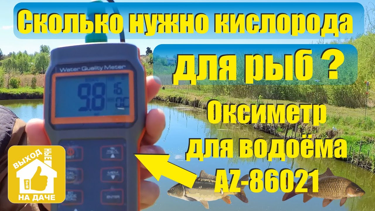 Оксиметр для водоёма AZ 68021. Сколько нужно кислорода для рыб?