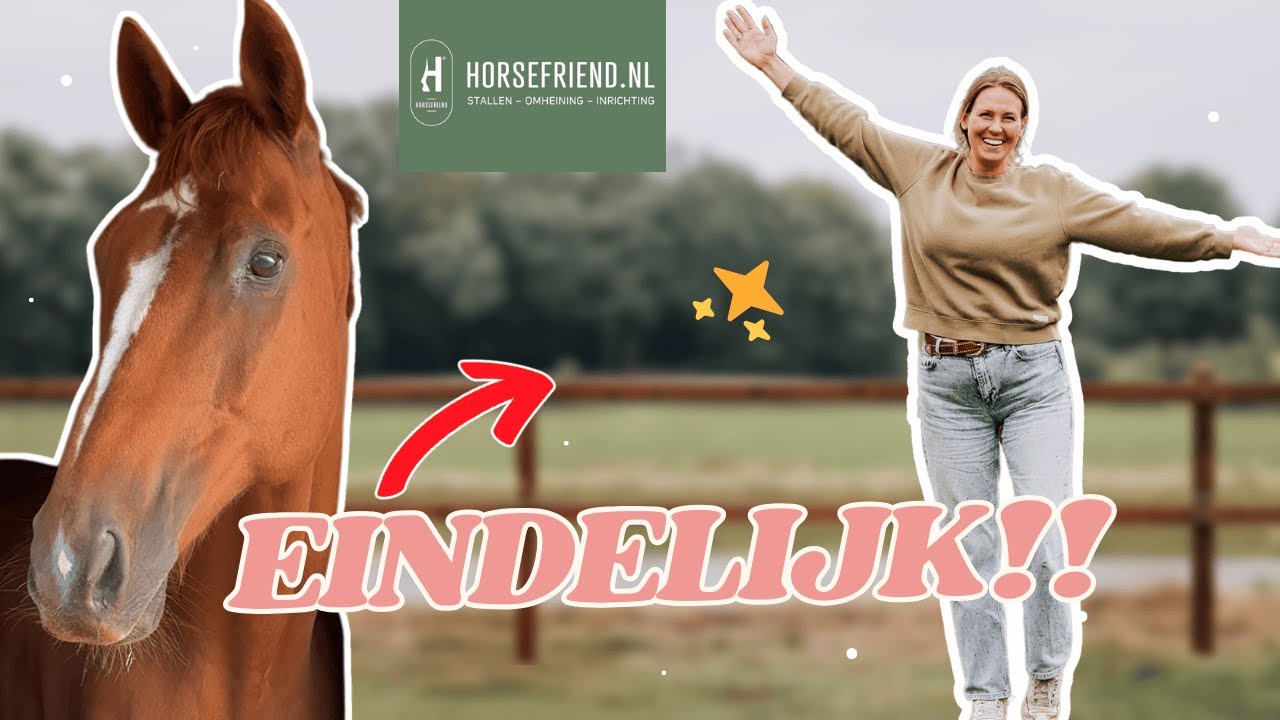 THE NEW FENCE is being installed! + First REACTIONS from the HORSES! || Equitality #vlog368