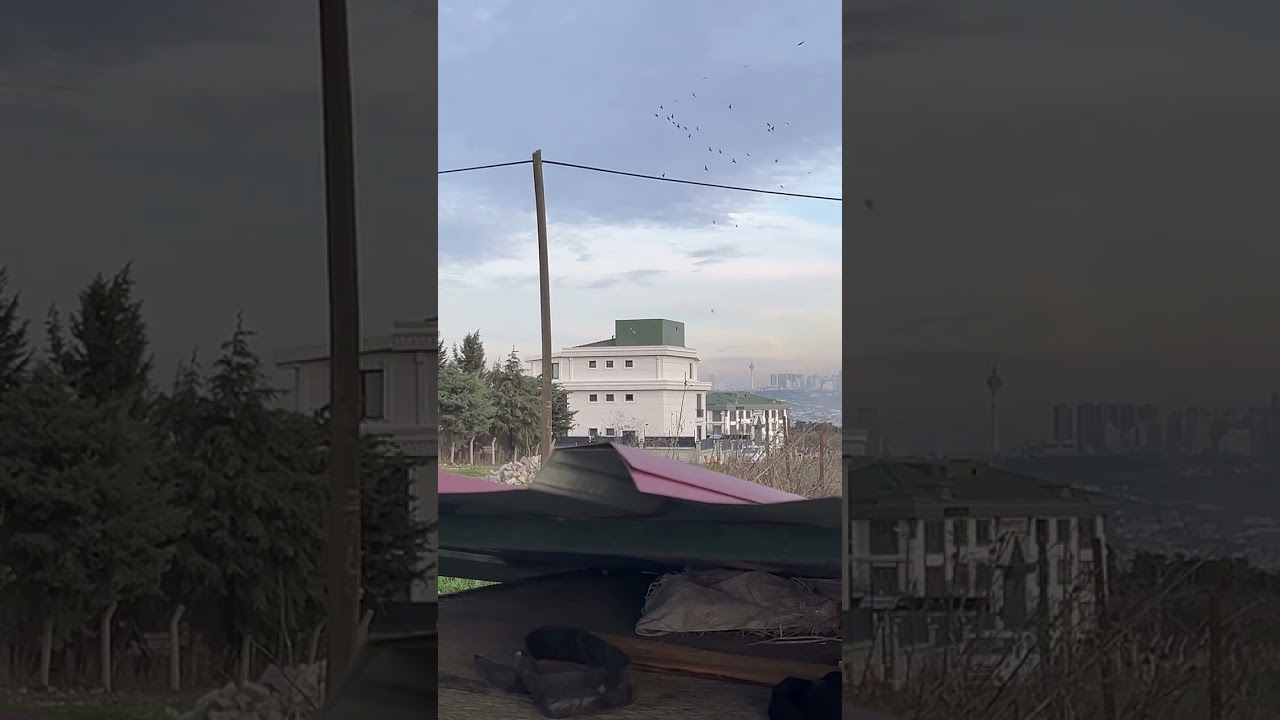 Yayın esnasında atmaca vurdu