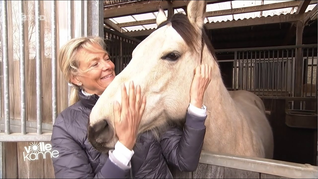 Pferd lässt Reiter nicht aufsteigen – so trainierst du Ruhe beim Aufsitzen | Andrea Kutsch im ZDF