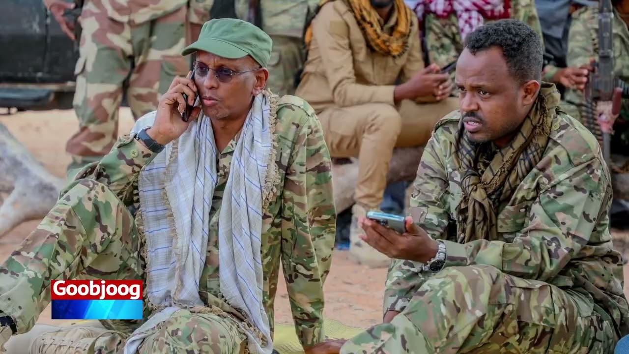 Faallo: Dagaalka Shabaab iyo doorka abaabulka reeraha