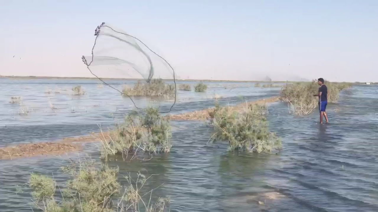 صيد السمك في بحر النجف