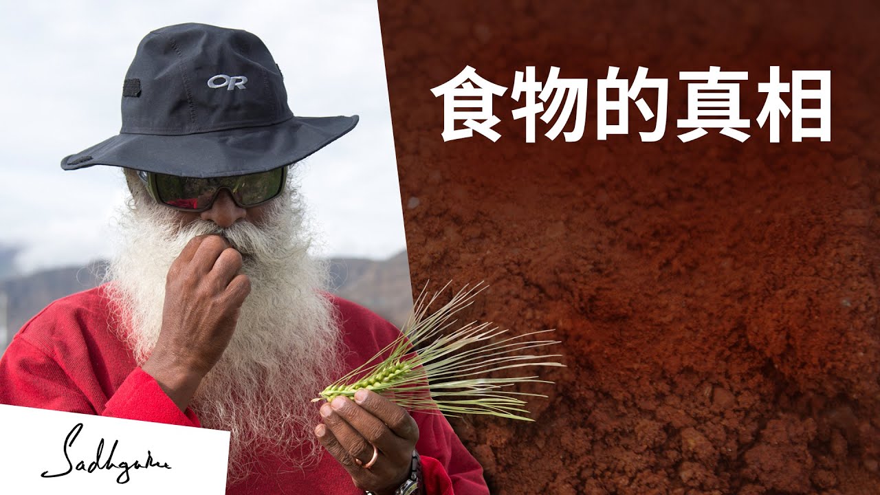 關於你日常沙拉的真相 | Sadhguru (薩古魯)