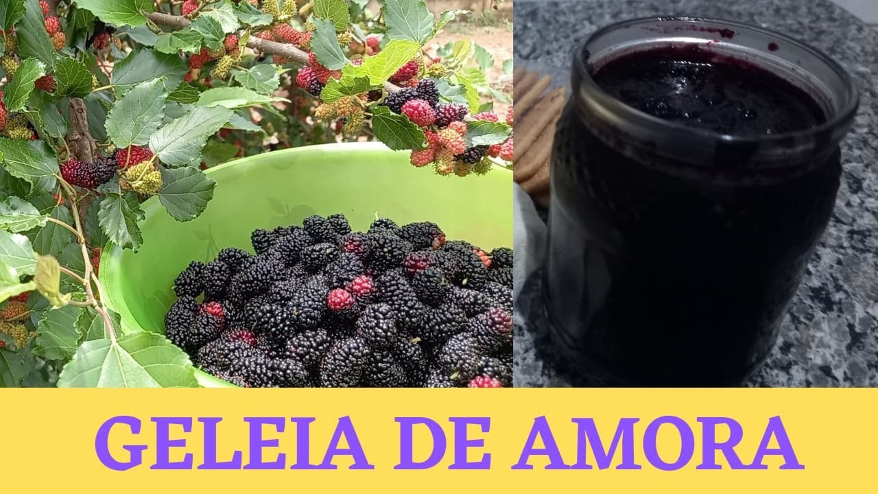 COMO FAZER GELEIA DE AMORA COLHIDA DO PÉ