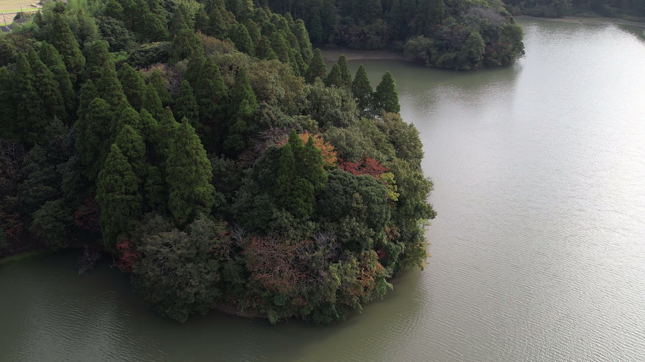 DJI AIR2S　千葉　東金市　雄蛇ヶ池　2021 11 02　[#ドローン空撮] #160