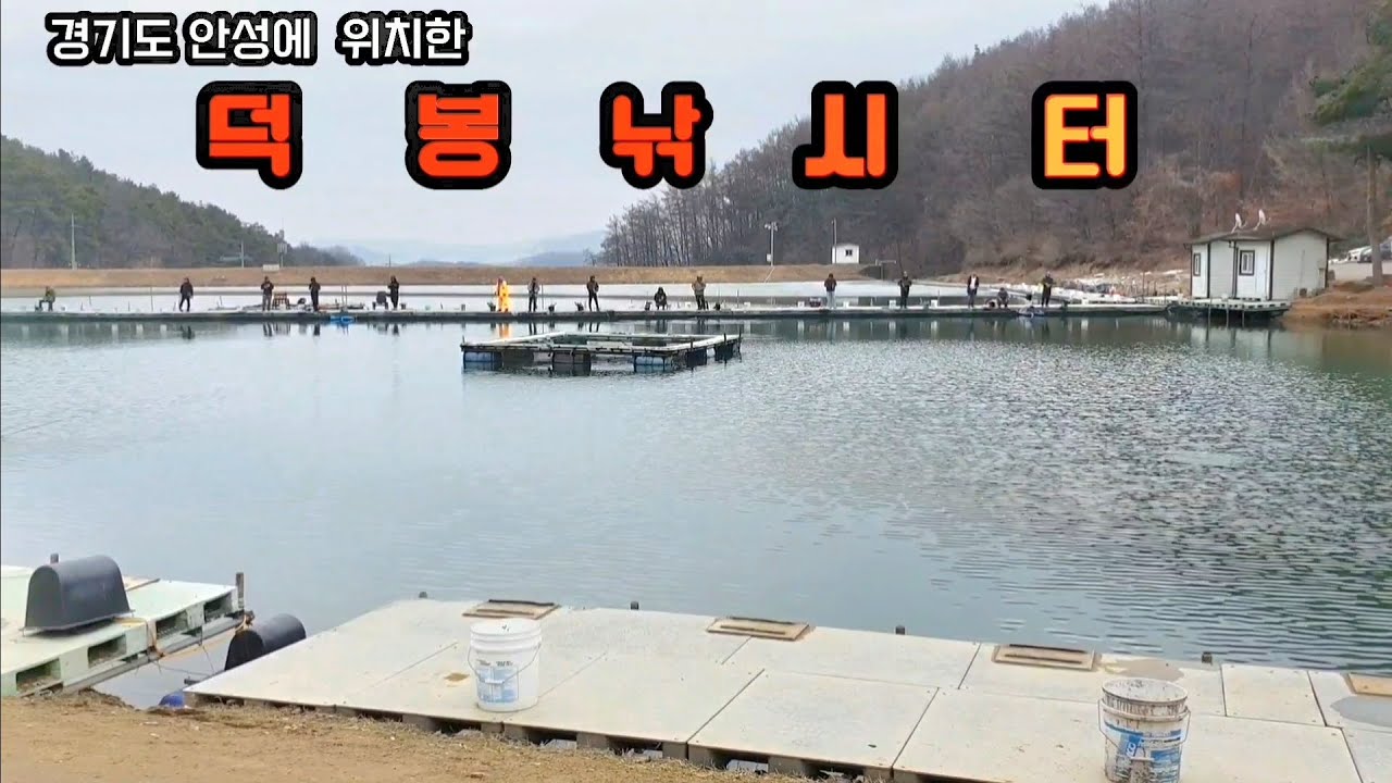 송어낚시/처음 가보는 안성소재 덕봉 낚시터
