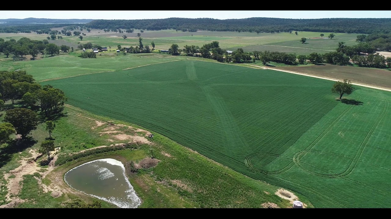 Digilah Station - Dunedoo, NSW