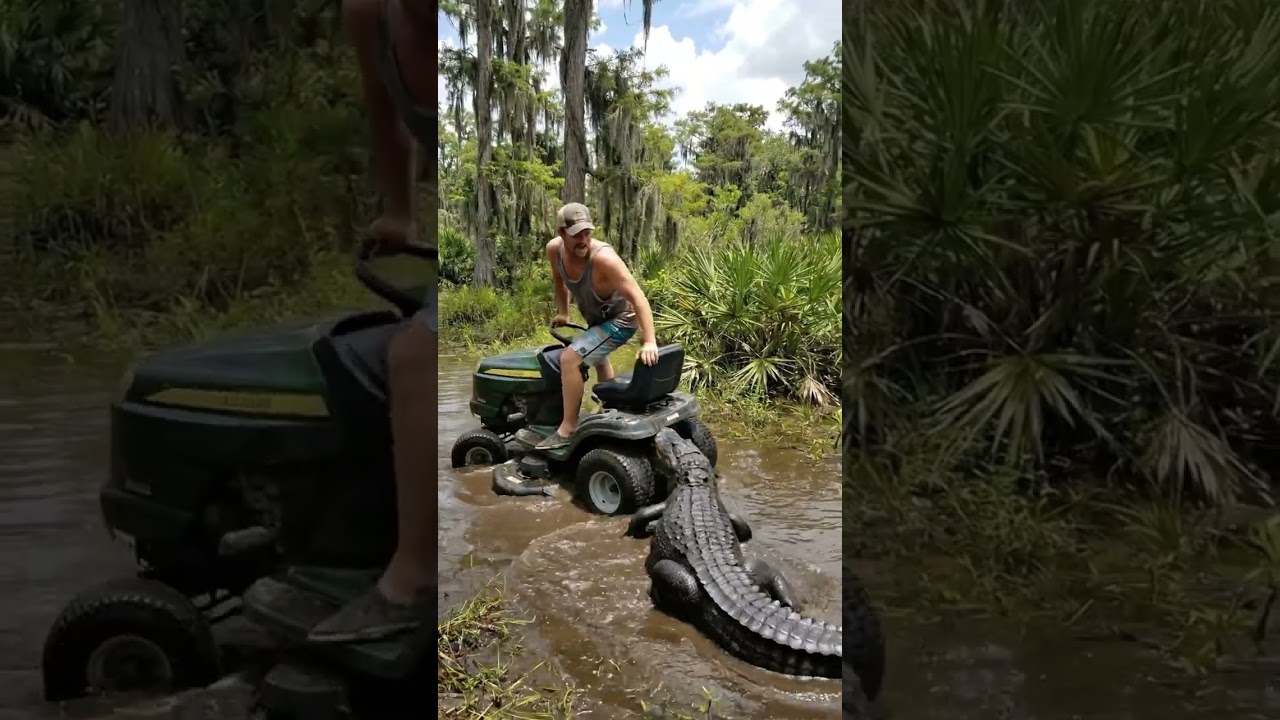 Gator ATTACKS Lawnmower! 🐊 Man's Wild Swamp Ride! 🚜😱