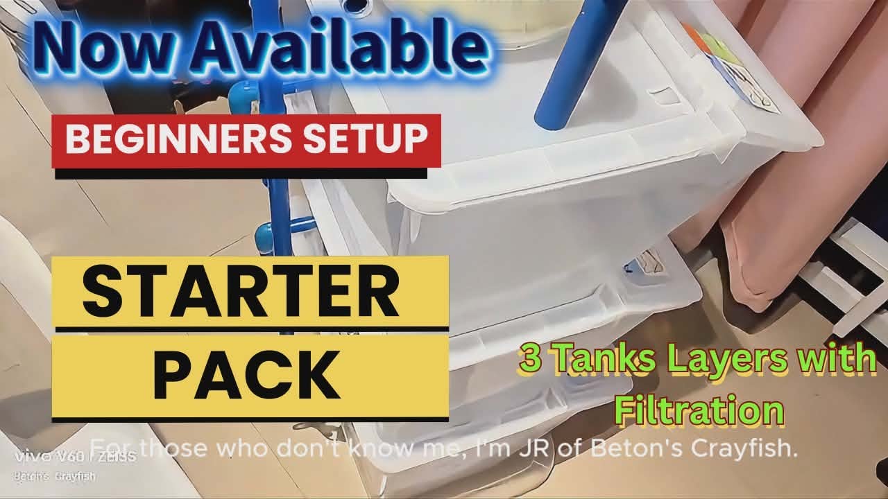 DIY Crayfish Breeding Tank - Easy Container Setup.  Now Available. 3 layer tanks with filtration
