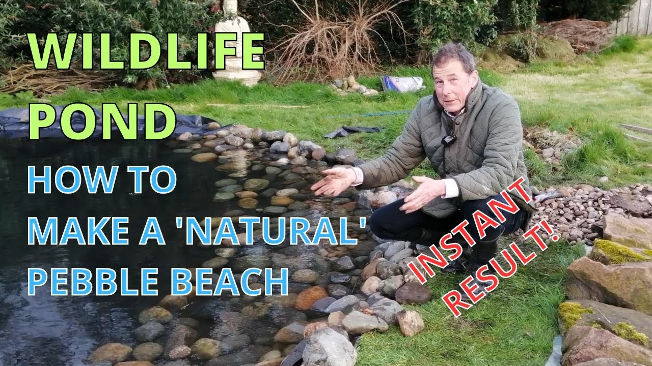 Пруд дикой природы: как создать красивый природный галечный пляж