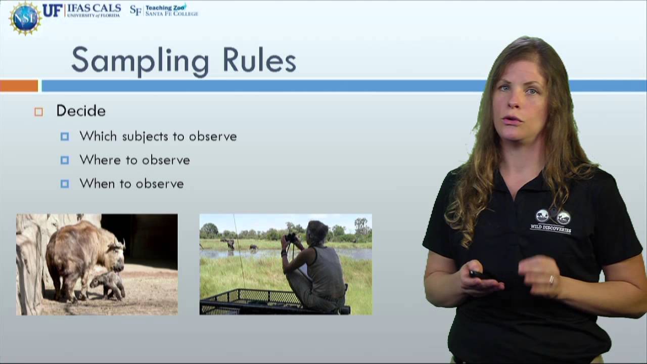 Methods of sampling animal behavior