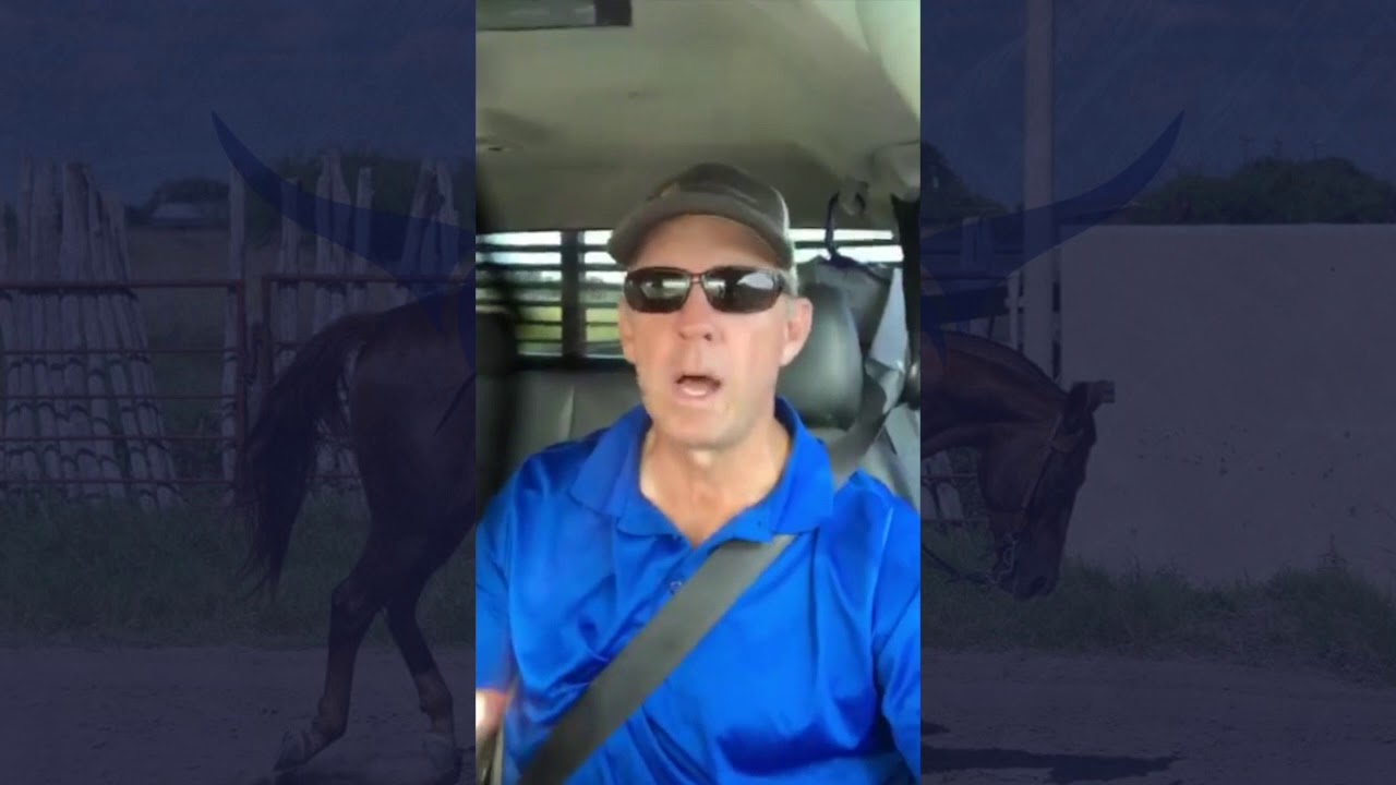 Ranch Road Series: Rider or passenger?