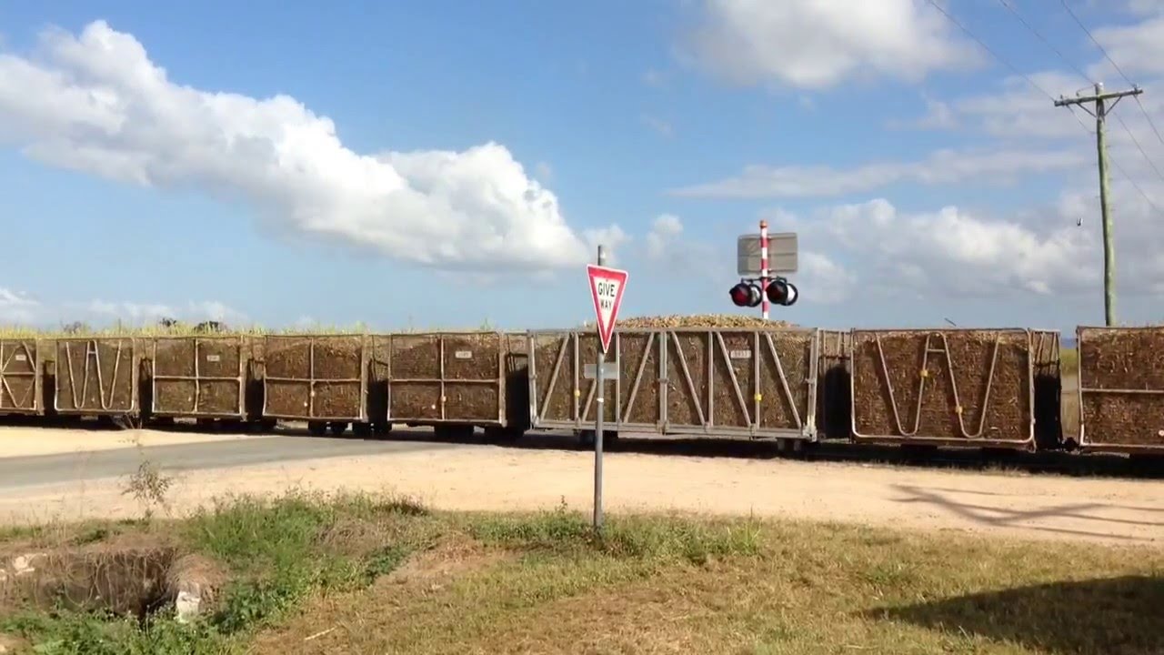 Sugar Cane Trains Australia: sugar cane trains of Ingham