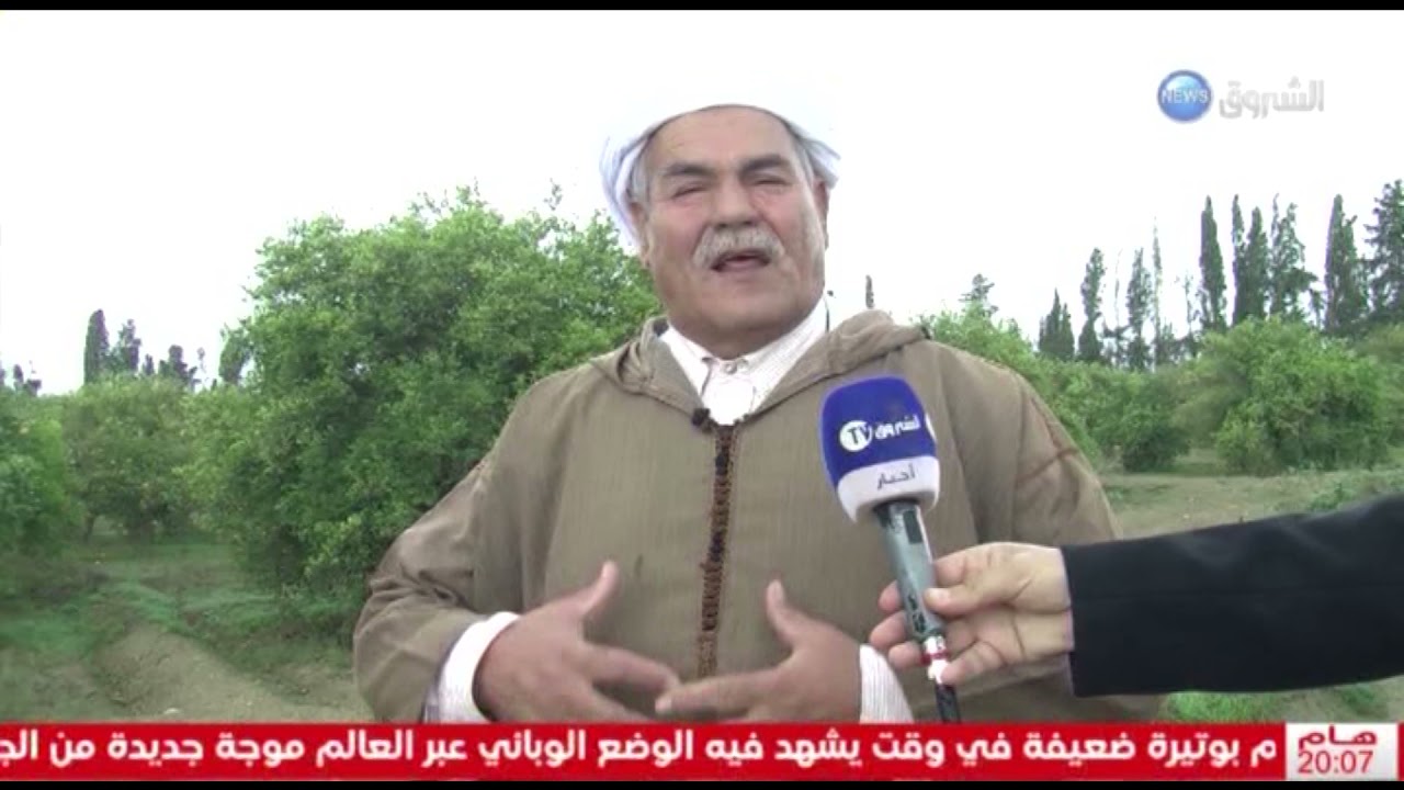 معسكر : بسبب موت سد فرقوق ..المحمدية تفقد مرتبتها كاول منتج للحمضيات ..الشروق