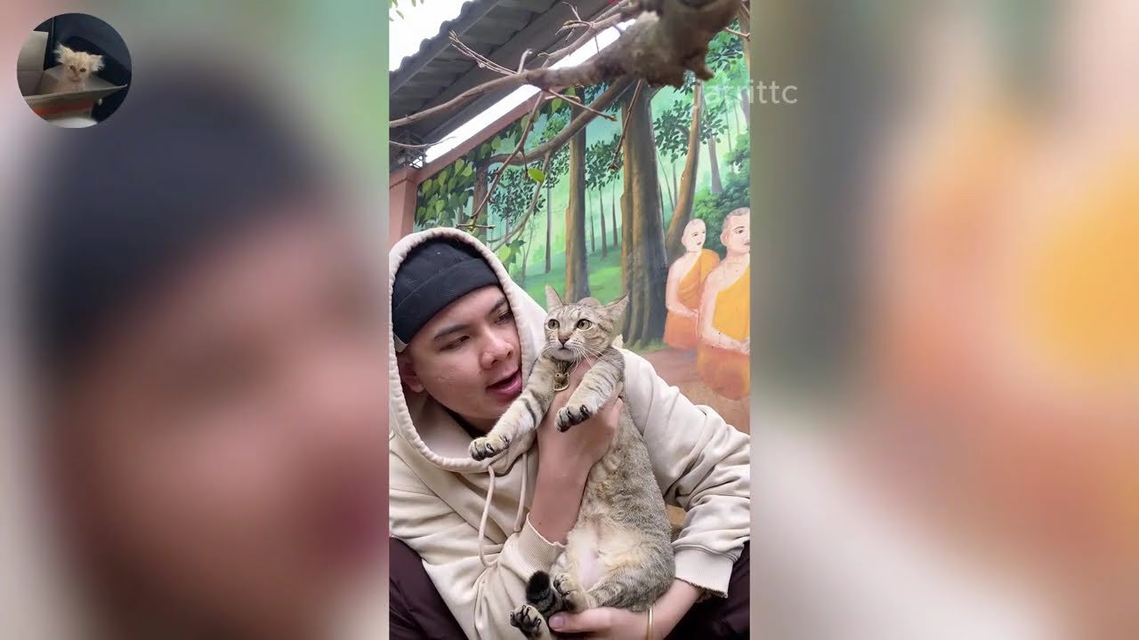 Funny ANIMALS videos 😂 | Funniest Cats and Dogs 2026 🐶😼 Part 44