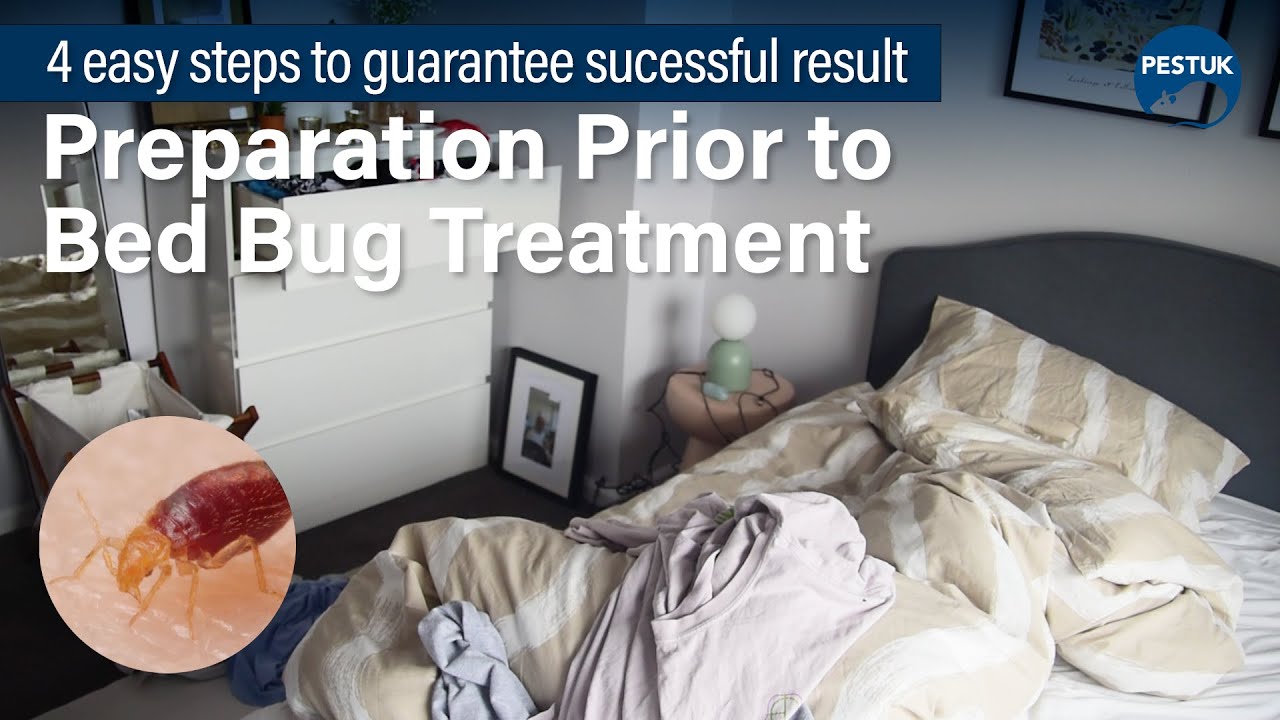 Get Rid of Bed Bug Problems | Easy Preparation for a Successful Treatment