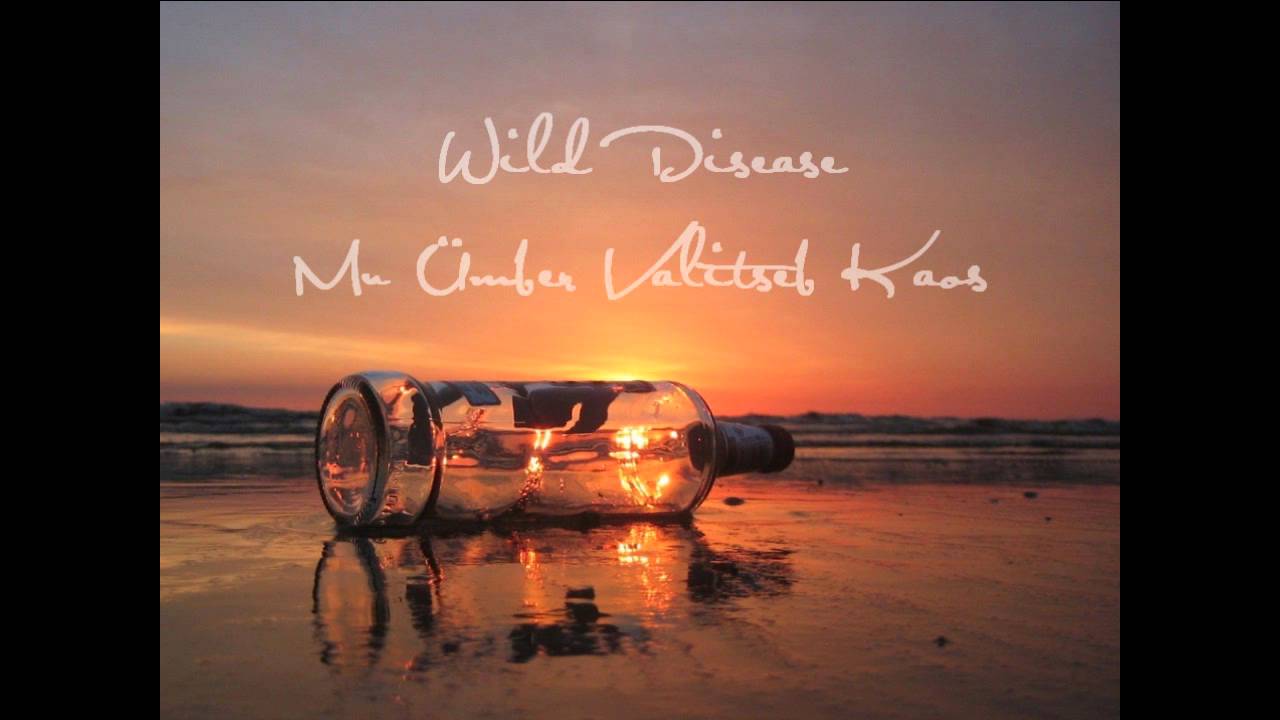 Wild Disease - Mu &uuml;mber valitseb kaos