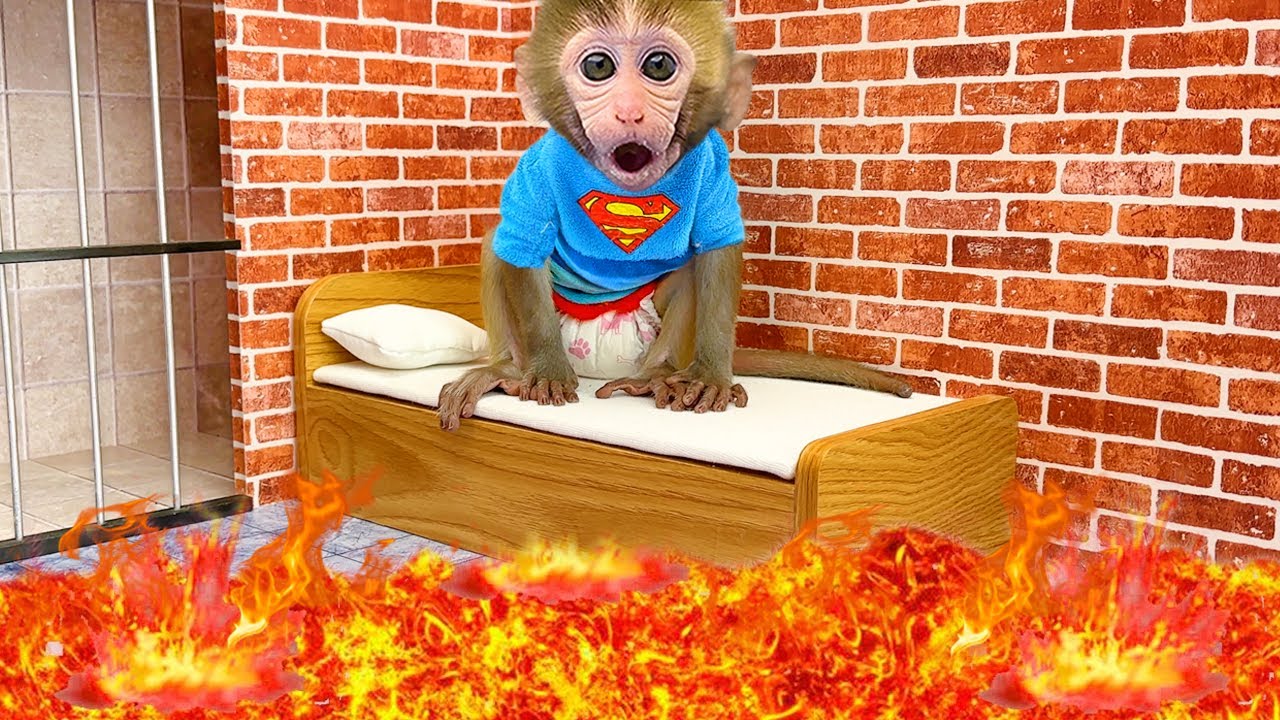 Monyet Bon Bon Imut melarikan diri dari labirin misterius dan menangkap pencuri roti lapis