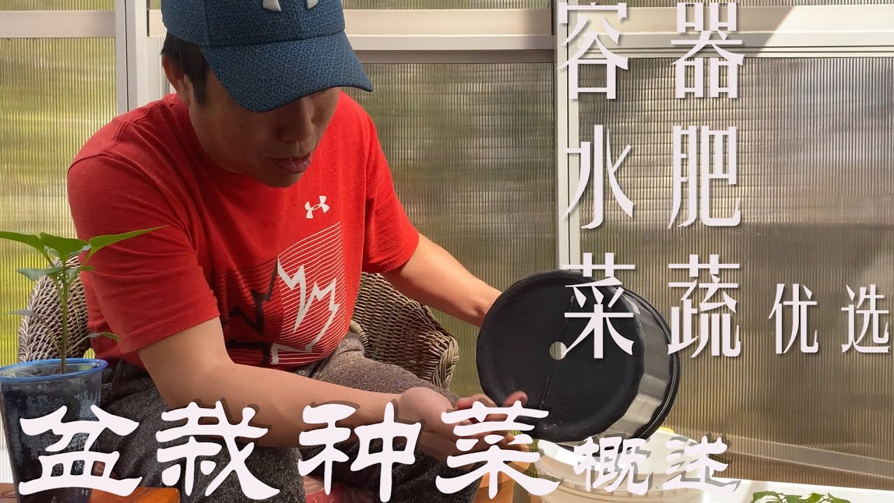 【渔耕笔记】阳台菜园 盆栽种植  详细介绍如何在容器内种菜 Container Gardening