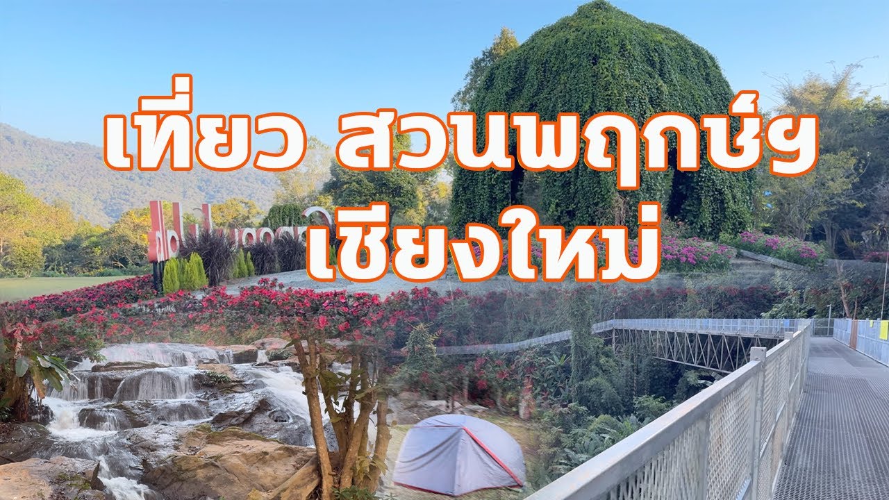 กางเต็นท์ สวนพฤกษศาสตร์แม่ริม 🌿 หนาวจริง บรรยากาศดีเกินคาด 2026