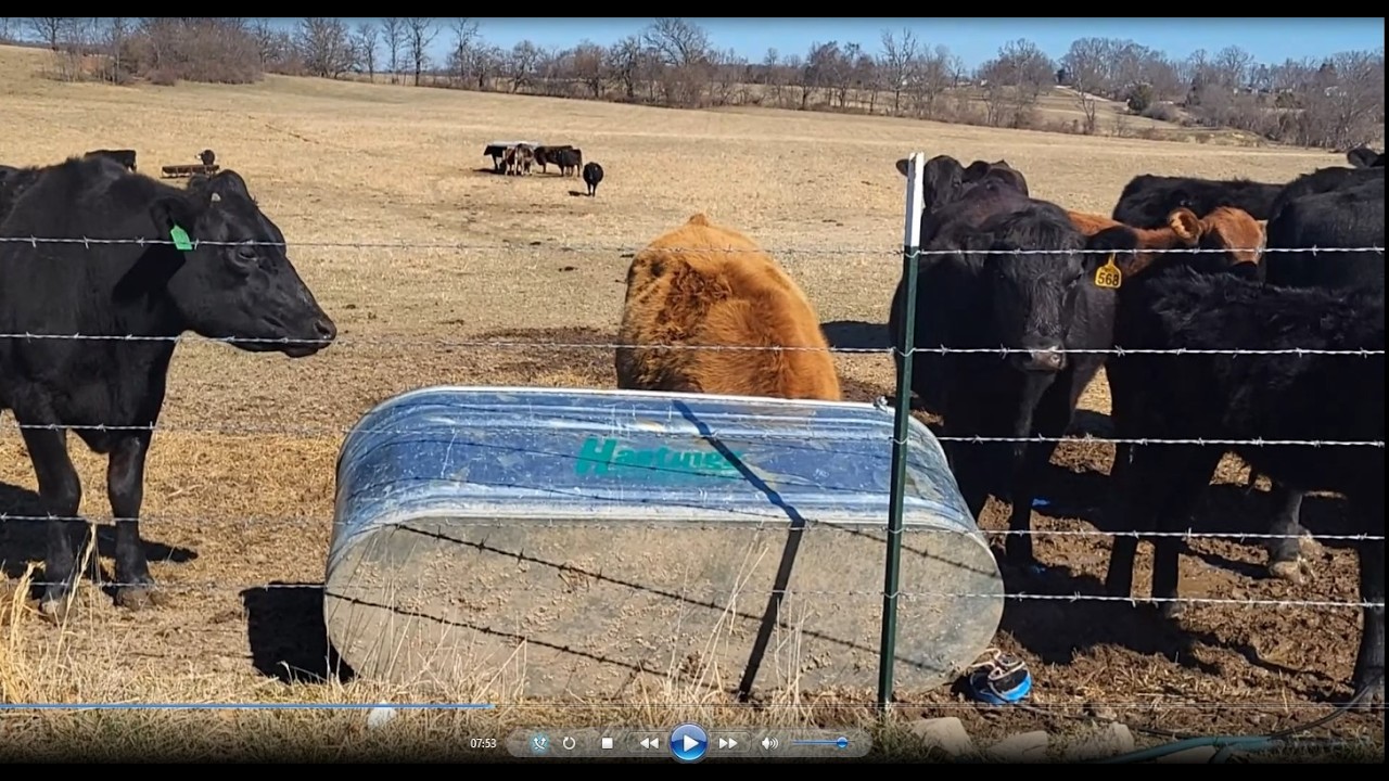 The Calm Before The Stom