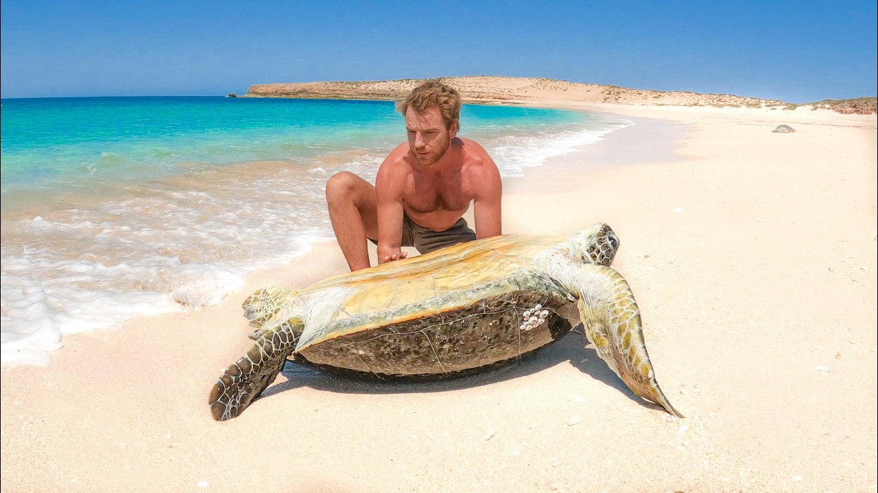 Turtle Stuck on Remote Island 🏝️ (DAY 33 AT SEA)