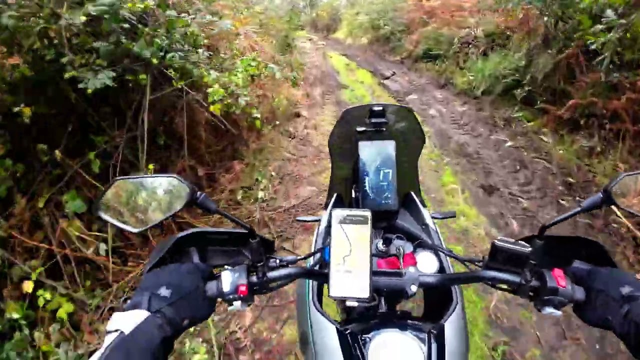 Took my new Morbidelli T125X for a offroad ride.