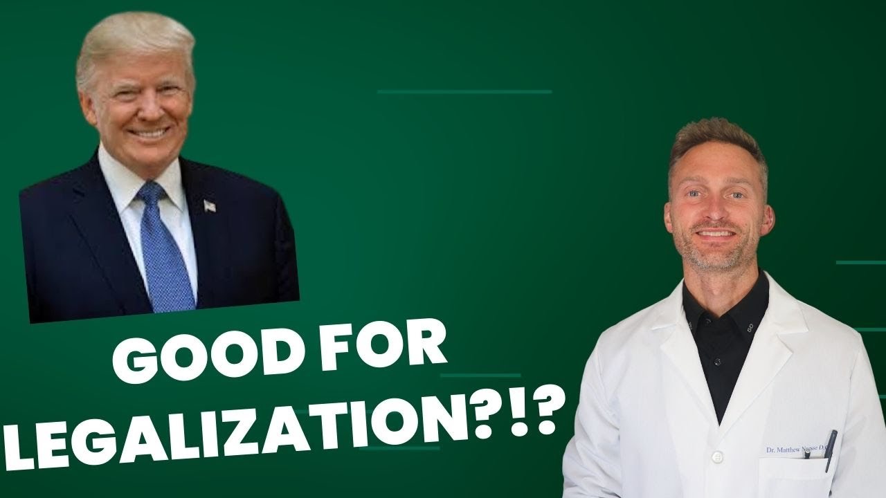 3 reasons Donald Trump will be good for marijuana legalization