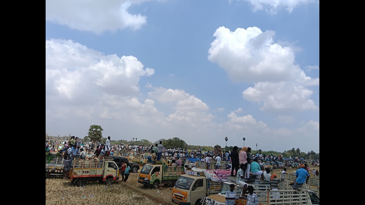 🔴 Live Uraganpatti Jallikattu 2026